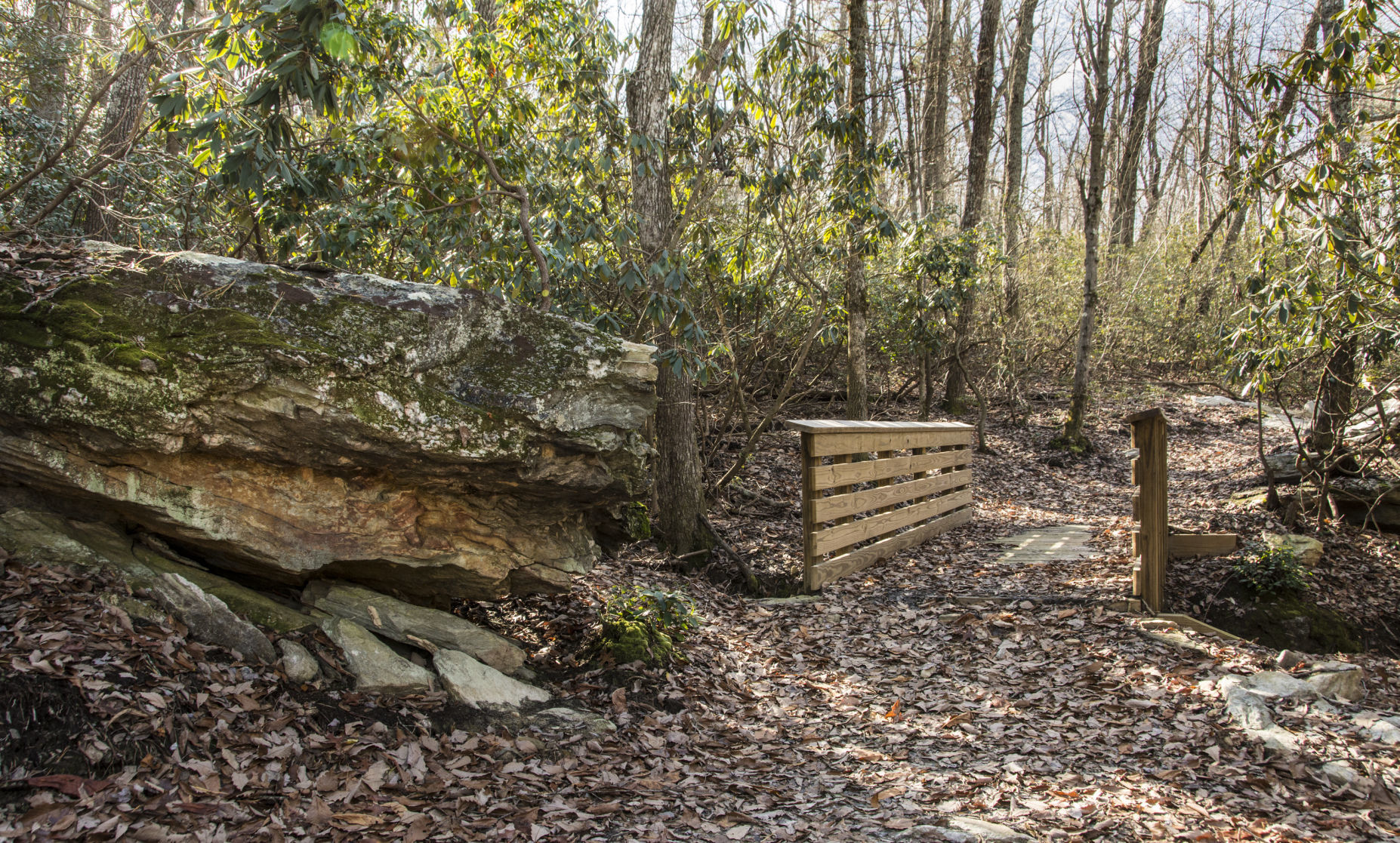 Hanging Rock State Park